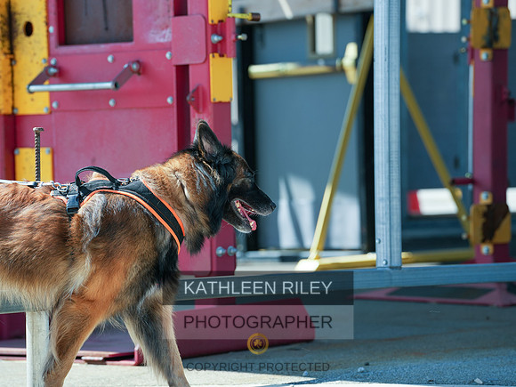2022-KathleenRileyPhotography-04199