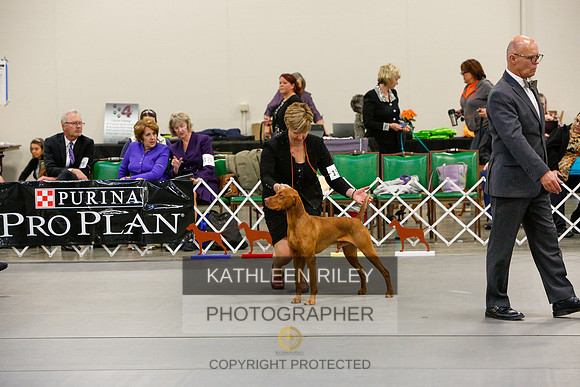 2022-KathleenRileyPhotography-5815