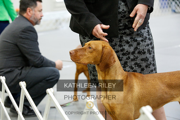 2022-KathleenRileyPhotography-9635