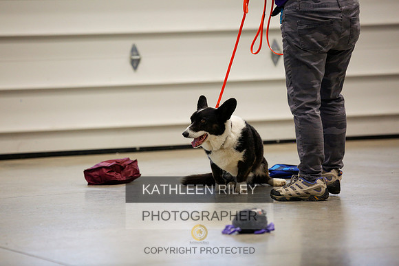 2022-KathleenRileyPhotography-7468