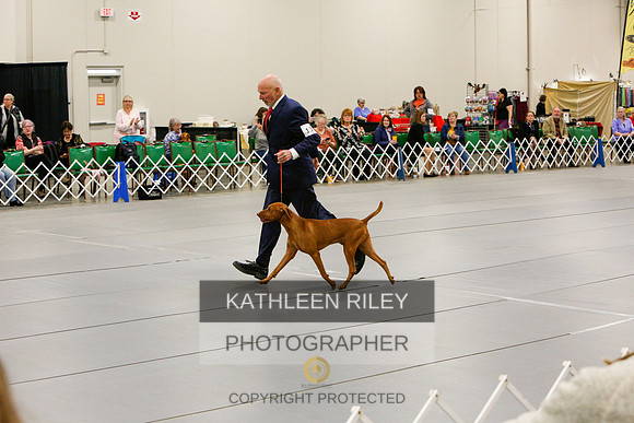 2022-KathleenRileyPhotography-5767