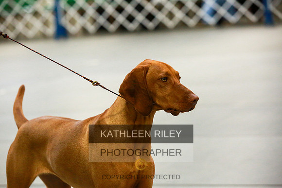2022-KathleenRileyPhotography-8762