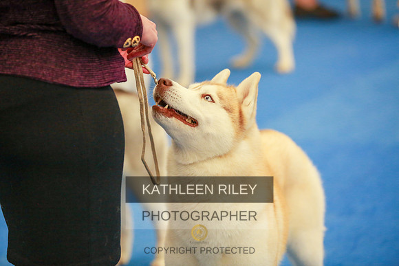 2022-KathleenRileyPhotography-6351