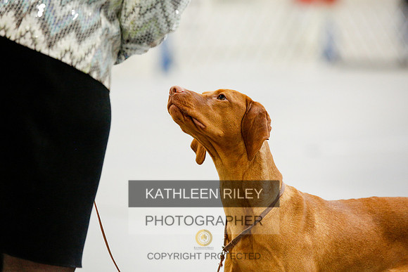 2022-KathleenRileyPhotography-9822