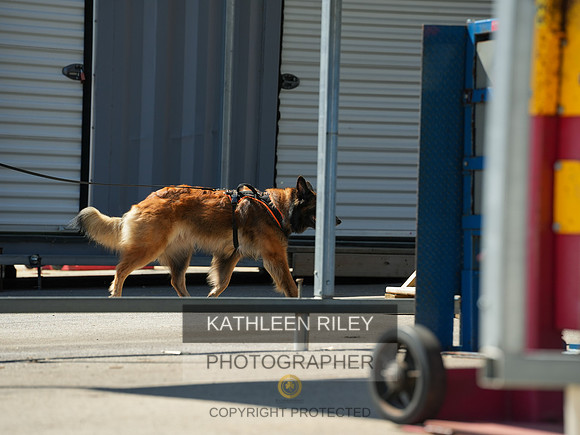 2022-KathleenRileyPhotography-04173