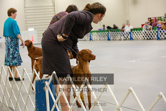 2022-KathleenRileyPhotography-8596