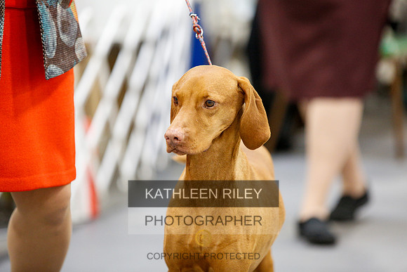 2022-KathleenRileyPhotography-2342