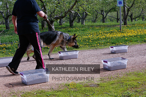 2022-KathleenRileyPhotography-8412