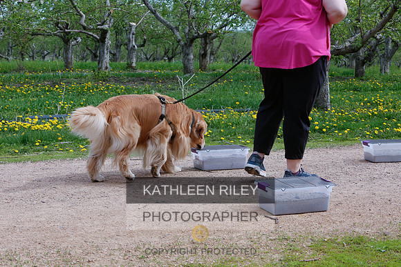 2022-KathleenRileyPhotography-8665