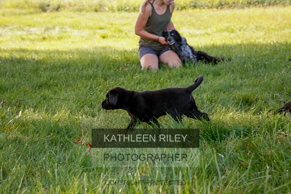 2022-KathleenRileyPhotography-5415