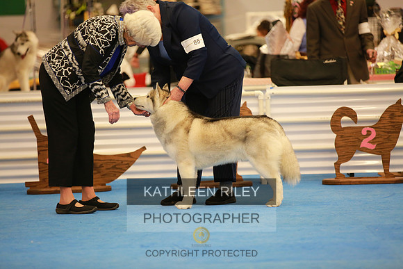 2022-KathleenRileyPhotography-6170