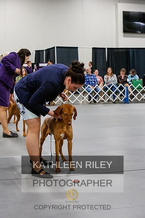 2022-KathleenRileyPhotography-6845