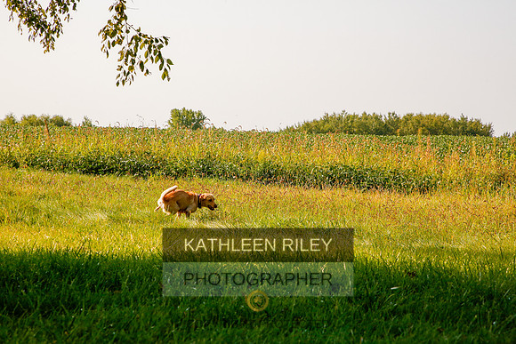 2022-KathleenRileyPhotography-5528