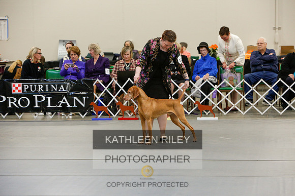 2022-KathleenRileyPhotography-5864