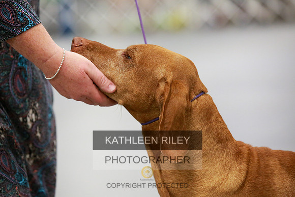 2022-KathleenRileyPhotography-7900