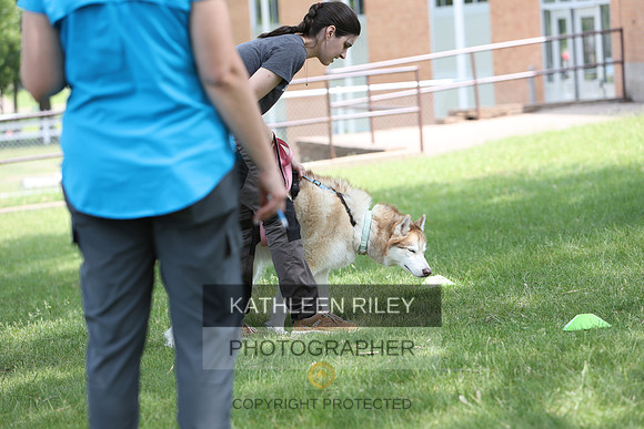 1N5A2434