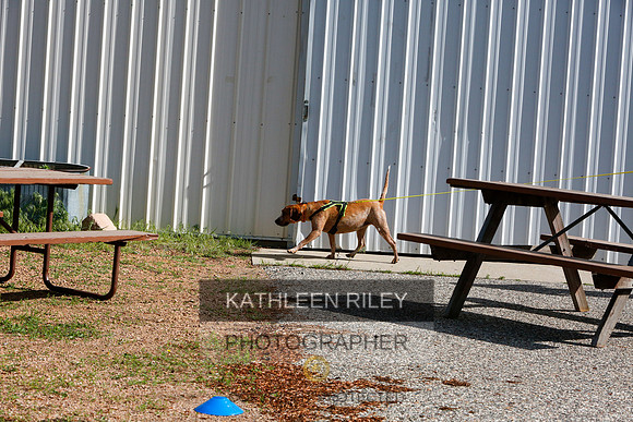 2022-KathleenRileyPhotography-9468