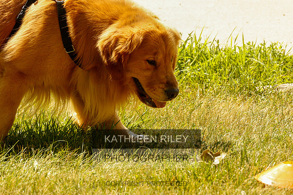 2022-KathleenRileyPhotography-0306