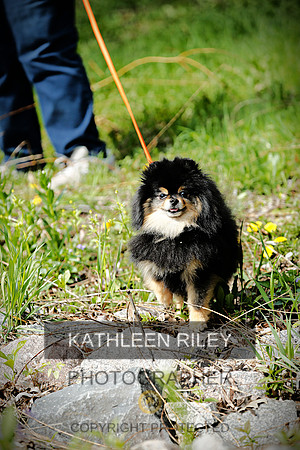 2022-KathleenRileyPhotography-2794 (1)