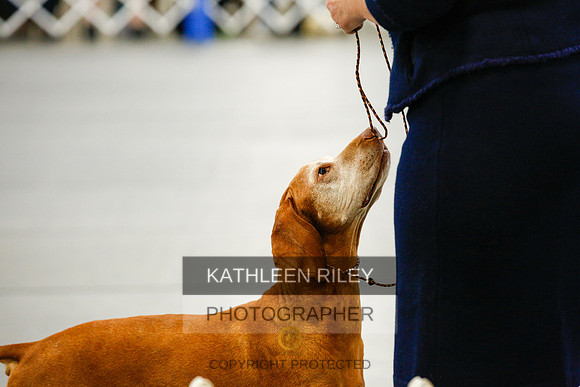 2022-KathleenRileyPhotography-1321