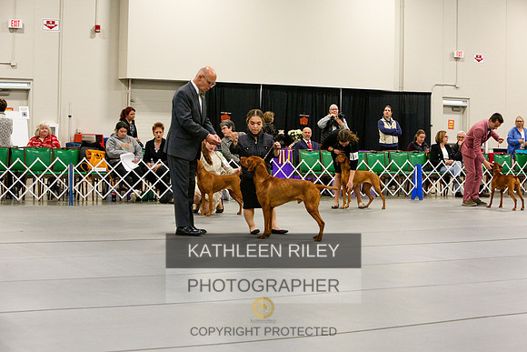 2022-KathleenRileyPhotography-5656