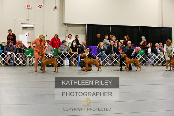 2022-KathleenRileyPhotography-6045