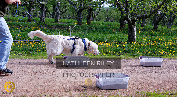 2022-KathleenRileyPhotography-8347 (1)