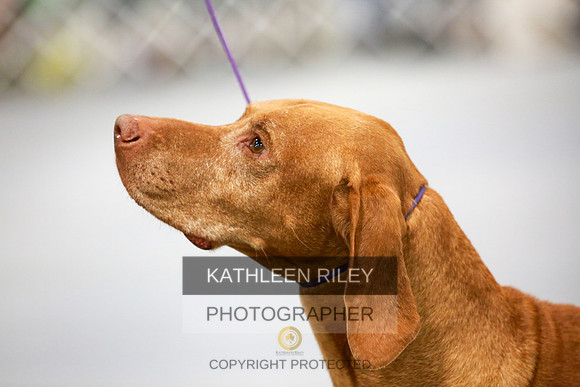 2022-KathleenRileyPhotography-7898
