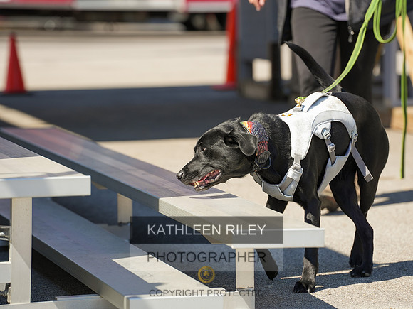 2022-KathleenRileyPhotography-04142
