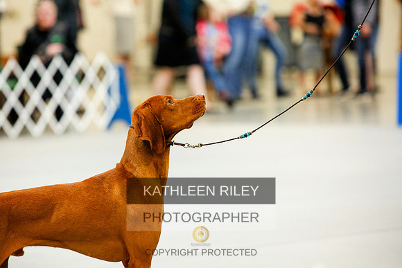 2022-KathleenRileyPhotography-9277