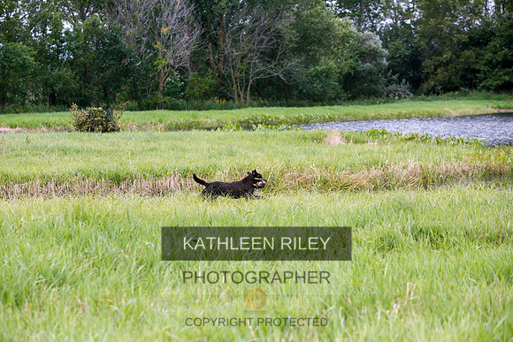 2022-KathleenRileyPhotography-3174
