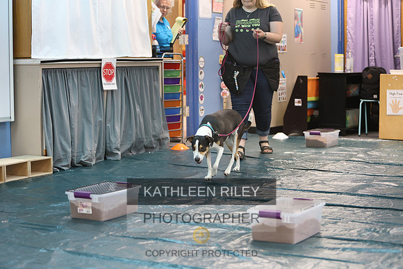 1N5A1609