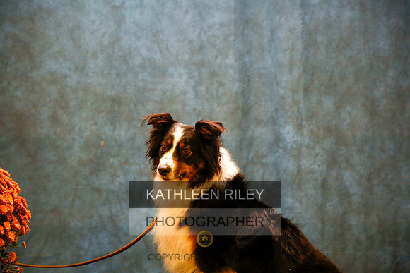 2022-KathleenRileyPhotography-9794