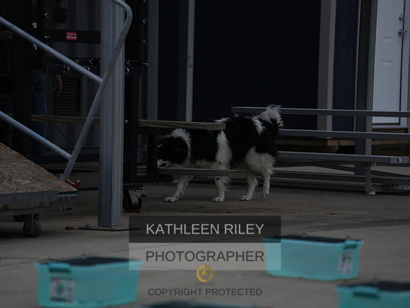 2022-KathleenRileyPhotography038