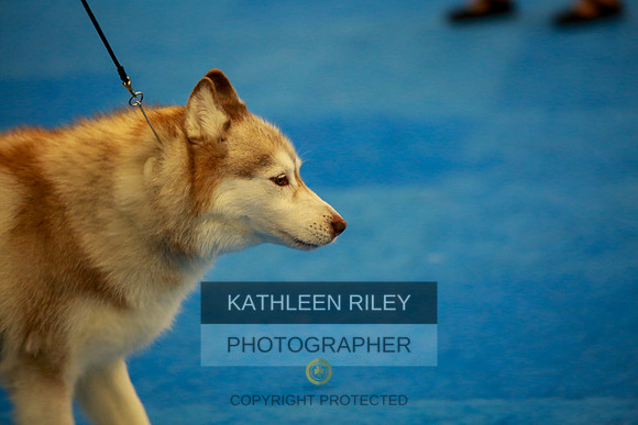 2022-KathleenRileyPhotography-6386