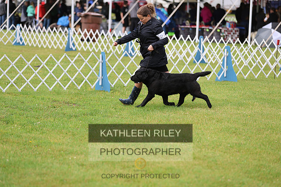 SJLT5032