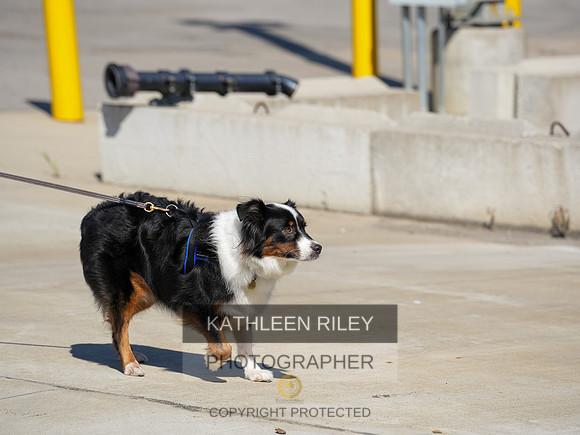 2022-KathleenRileyPhotography-03965