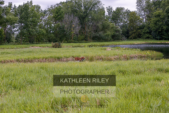 2022-KathleenRileyPhotography-3409
