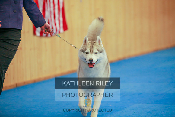 2022-KathleenRileyPhotography-6110
