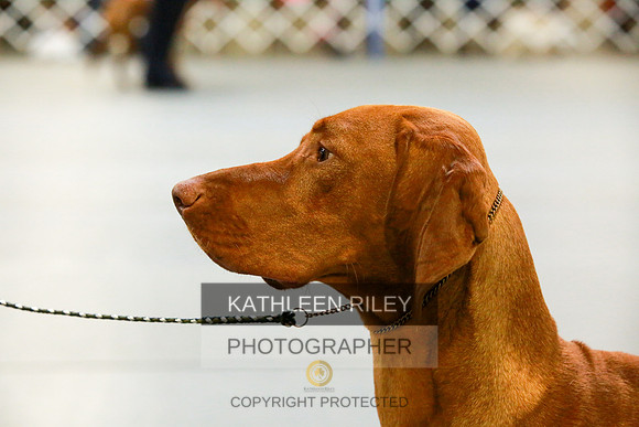 2022-KathleenRileyPhotography-8864