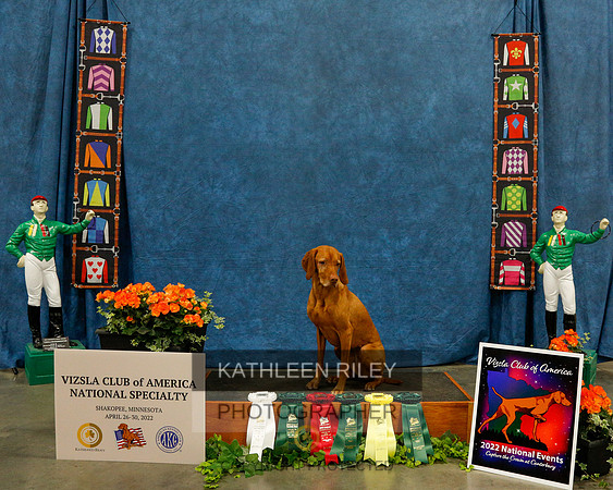 2022-KathleenRileyPhotography-6134