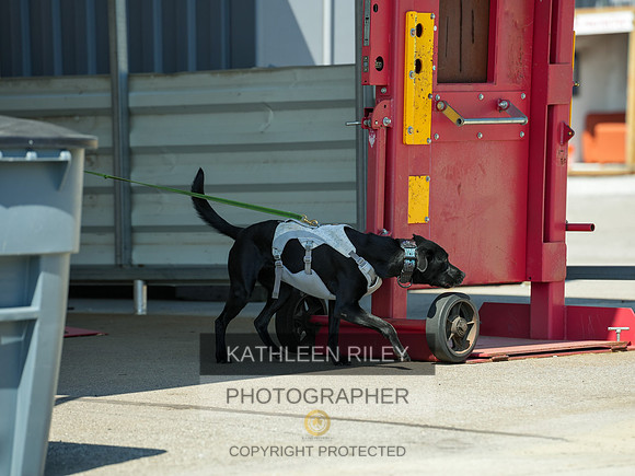 2022-KathleenRileyPhotography-04113