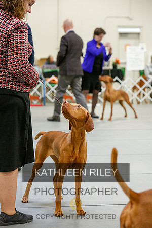 2022-KathleenRileyPhotography-3850