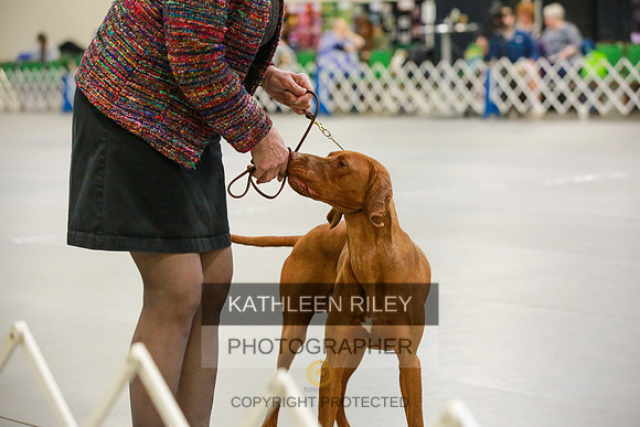 2022-KathleenRileyPhotography-8598