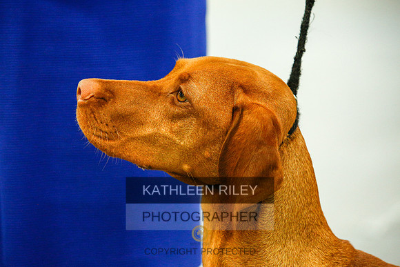 2022-KathleenRileyPhotography-9798