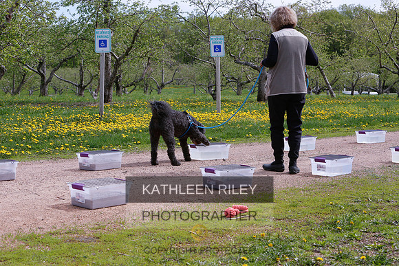 2022-KathleenRileyPhotography-8703 (1)