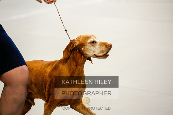 2022-KathleenRileyPhotography-1345