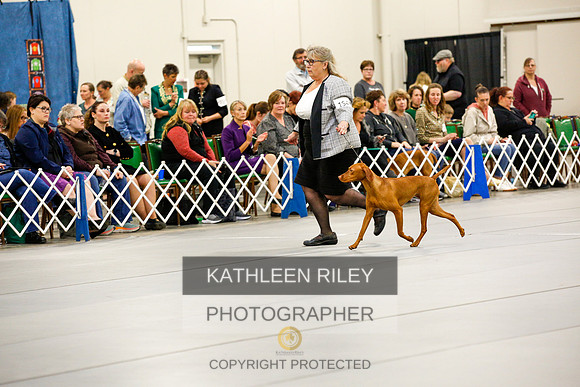 2022-KathleenRileyPhotography-1108