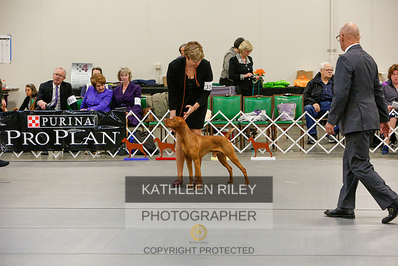 2022-KathleenRileyPhotography-5818