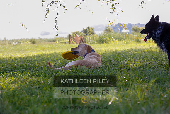 2022-KathleenRileyPhotography-7942